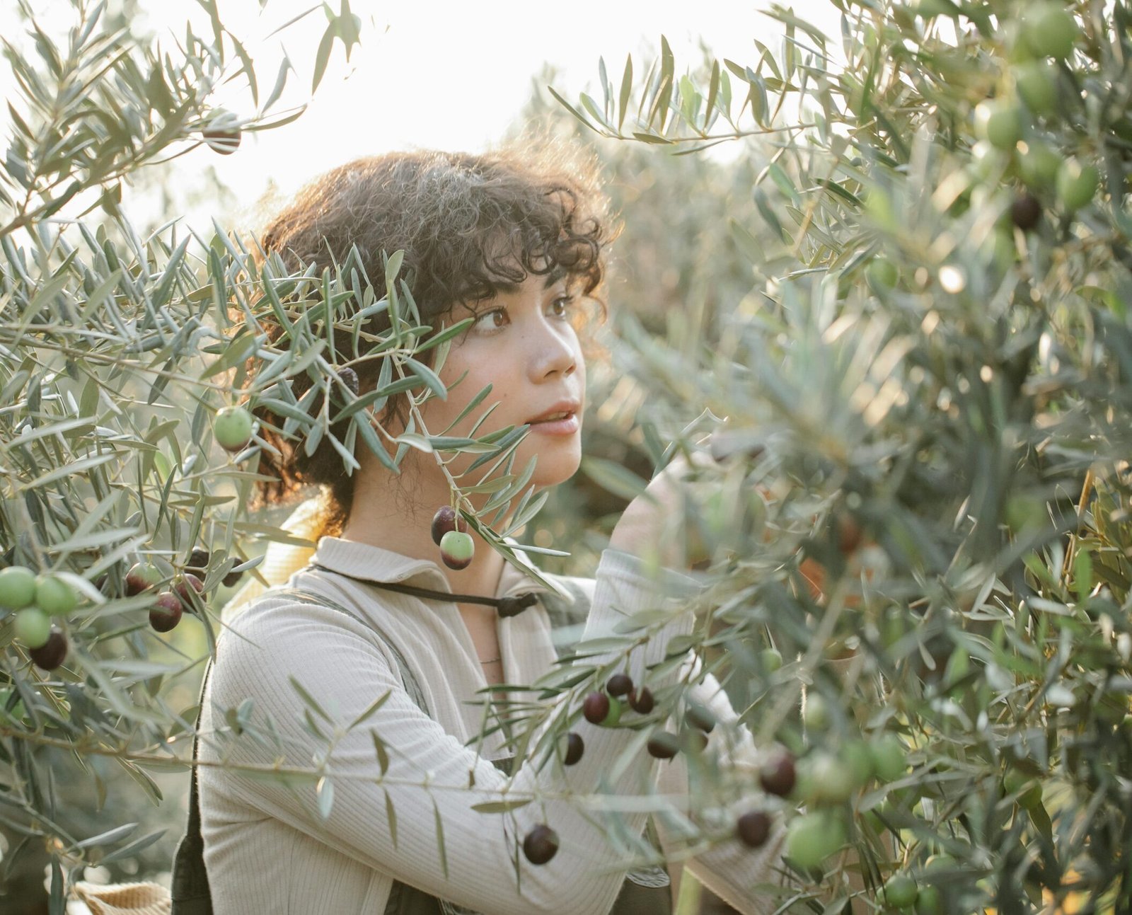 Ethnic female horticulturist looking at green olives on tree growing on farm in summer